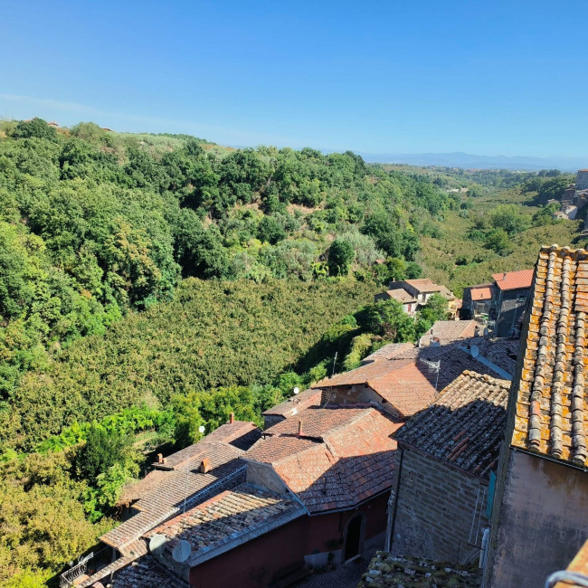 Appartamento in vendita a Vignanello