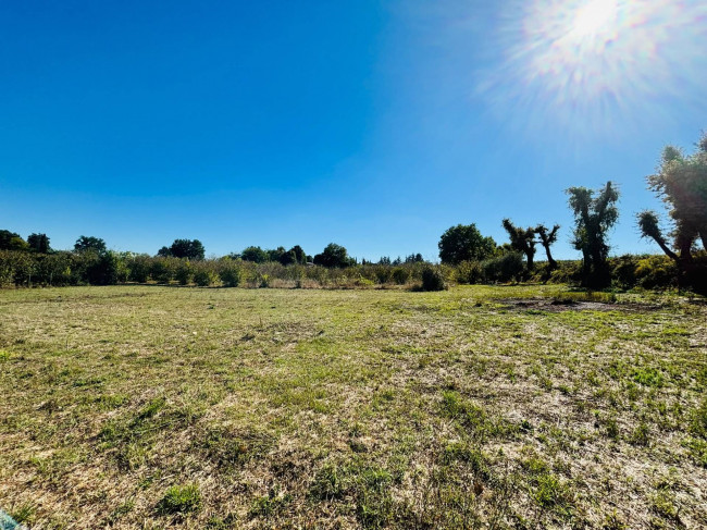 Single House for sale in Vasanello