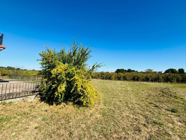 Single House for sale in Vasanello