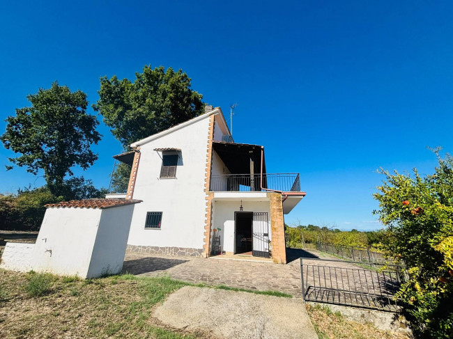 Single House for sale in Vasanello