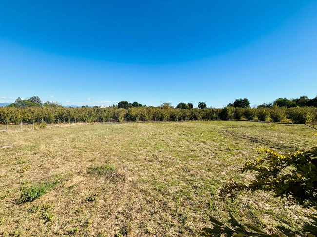 Single House for sale in Vasanello
