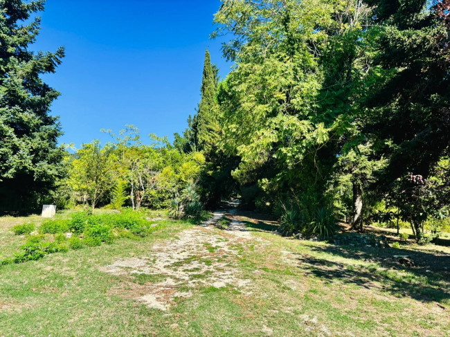Single House for sale in Orte