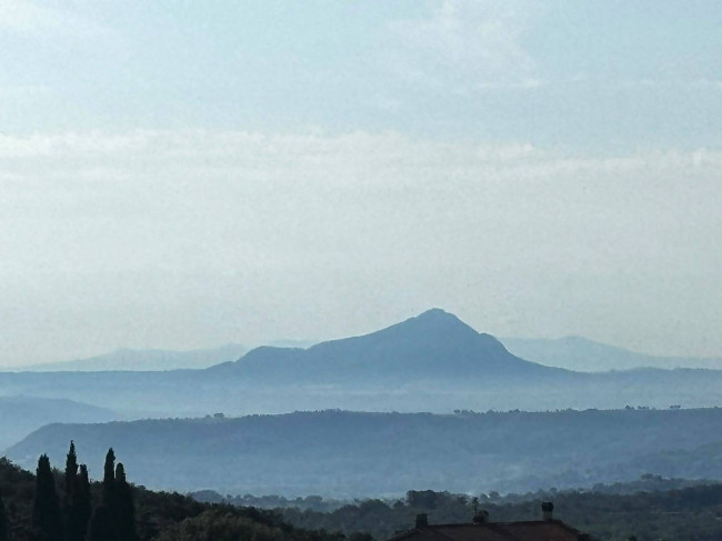Appartamento in vendita a Amelia