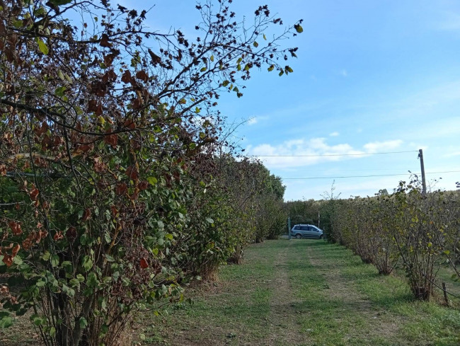 Agricultural Land for sale in Soriano nel Cimino