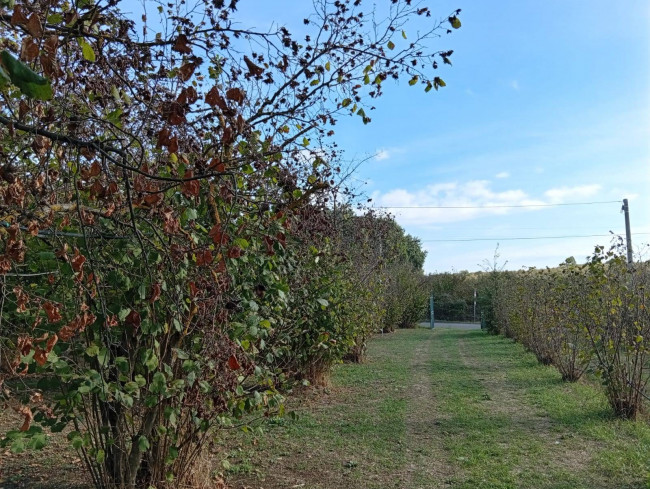 Agricultural Land for sale in Soriano nel Cimino
