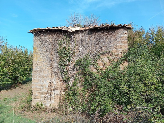 Agricultural Land for sale in Soriano nel Cimino