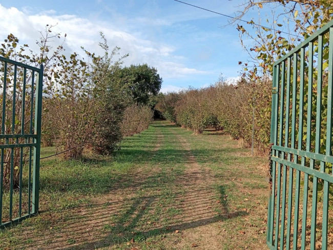 Agricultural Land for sale in Soriano nel Cimino