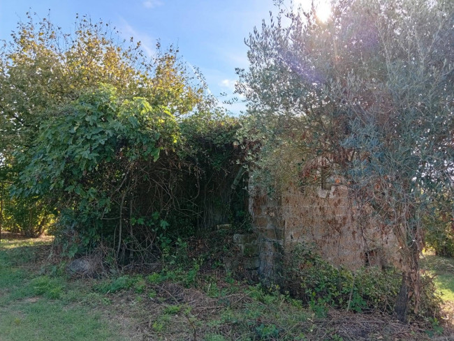 Agricultural Land for sale in Soriano nel Cimino