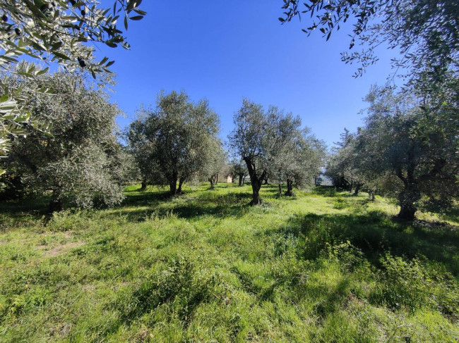 Homestead for sale in Avigliano Umbro