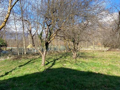 Villetta bifamiliare in vendita a Mattie