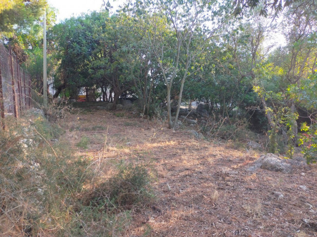 Terreno agricolo in vendita a Torretta (PA)