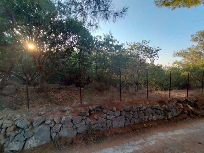 Terreno agricolo in vendita a Torretta (PA)