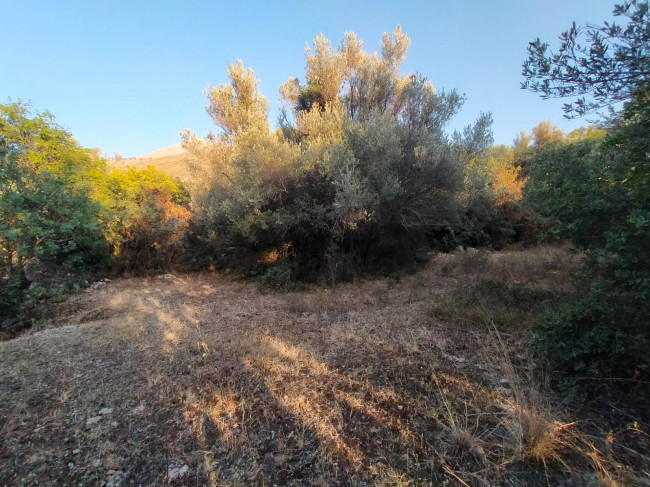 Terreno agricolo in vendita a Torretta (PA)