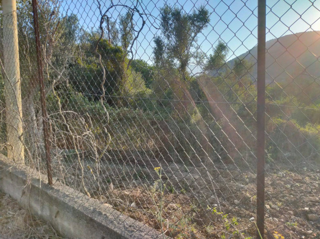 Terreno agricolo in vendita a Torretta (PA)