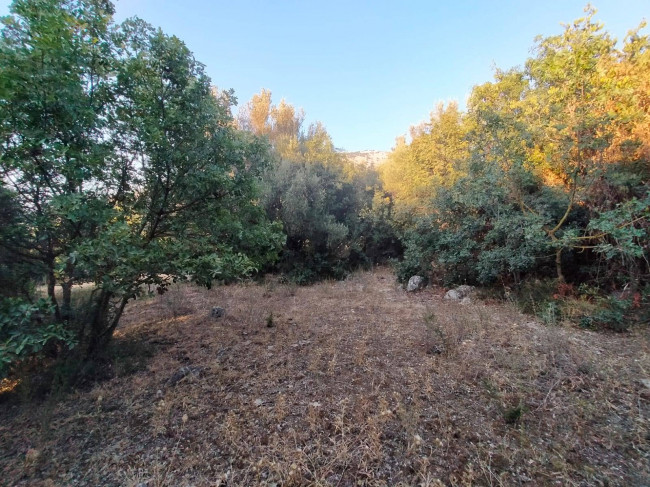 Terreno agricolo in vendita a Torretta (PA)