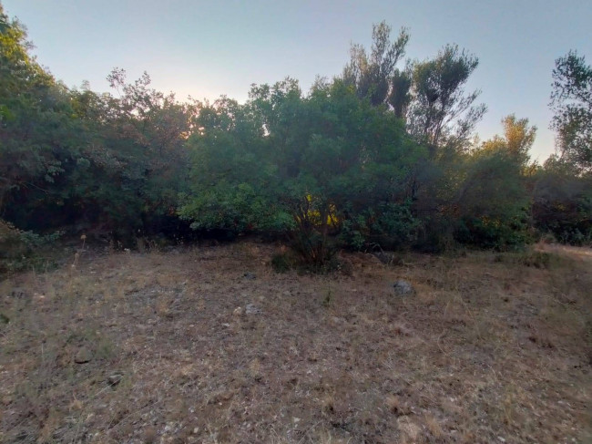 Terreno agricolo in vendita a Torretta (PA)