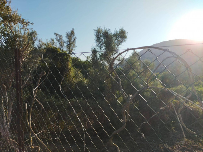 Terreno agricolo in vendita a Torretta (PA)