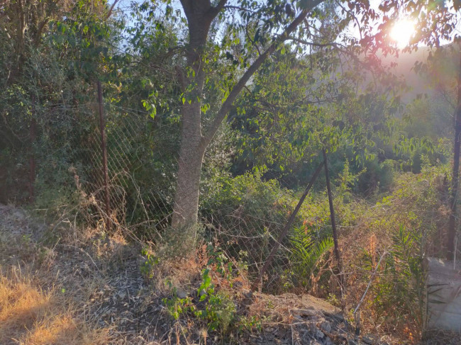 Terreno agricolo in vendita a Torretta (PA)