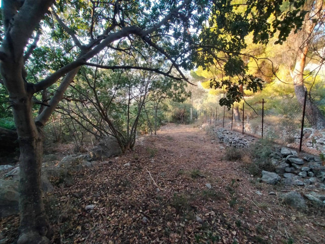 Terreno agricolo in vendita a Torretta (PA)