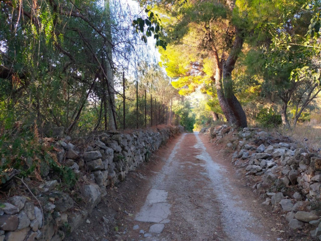 Terreno edificabile in vendita a Torretta (PA)