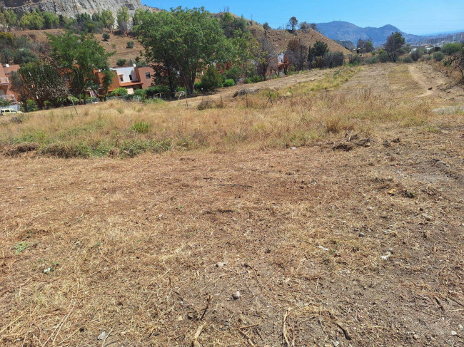 Terreno agricolo in vendita a Borgonuovo, Palermo (PA)