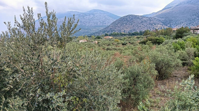 Terreno edificabile in vendita a Torretta (PA)