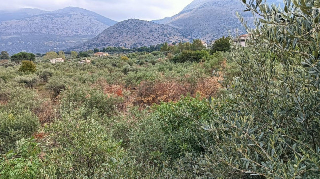 Terreno edificabile in vendita a Torretta (PA)