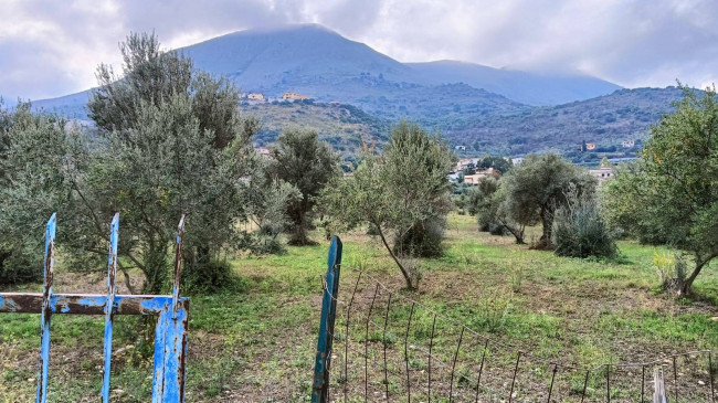 Terreno edificabile in vendita a Torretta (PA)