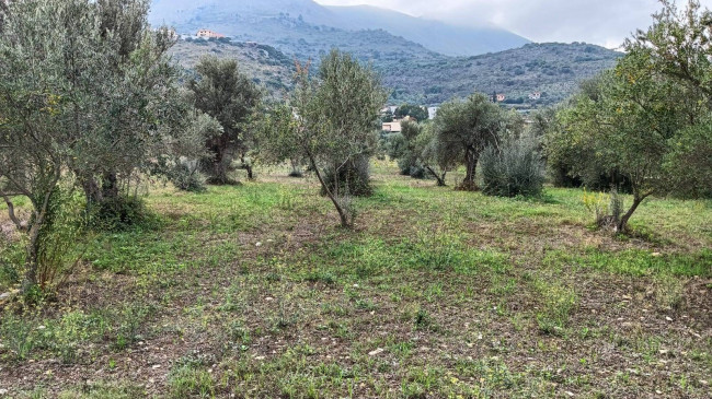 Terreno edificabile in vendita a Torretta (PA)