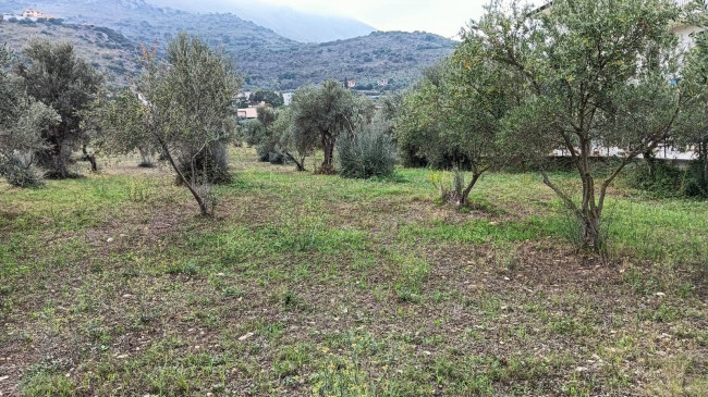 Terreno edificabile in vendita a Torretta (PA)