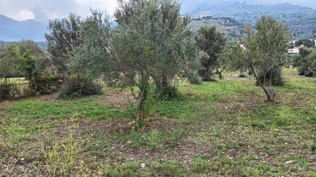 Terreno edificabile in vendita a Torretta (PA)