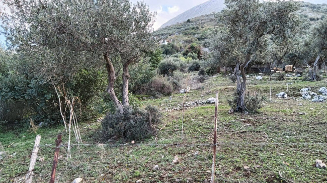 Terreno agricolo in vendita a Torretta (PA)