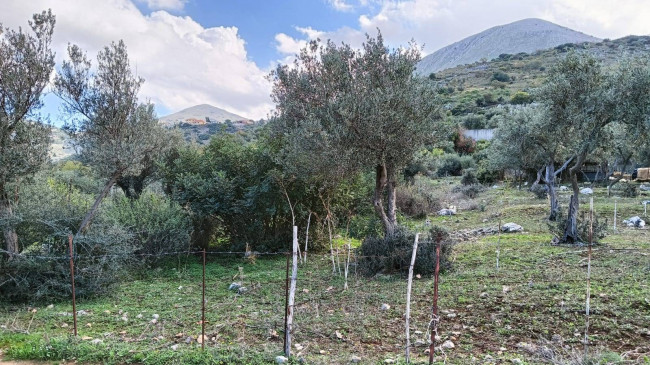 Terreno agricolo in vendita a Torretta (PA)