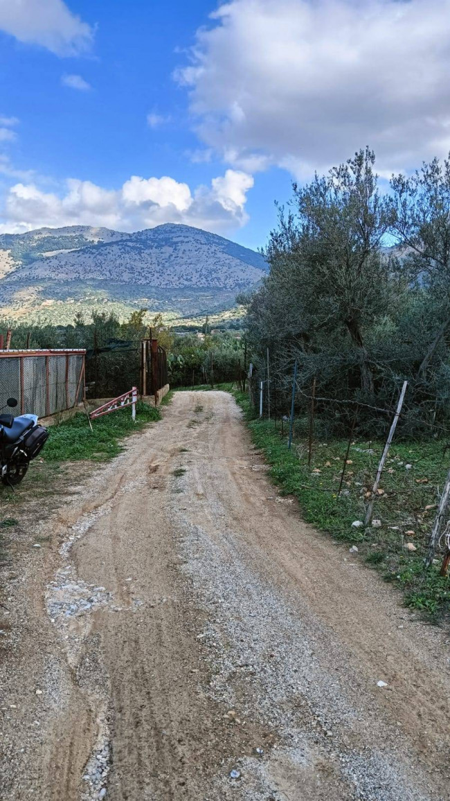 Terreno agricolo in vendita a Torretta (PA)