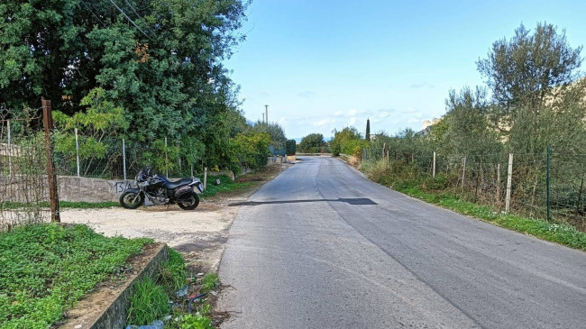 Terreno agricolo in vendita a Torretta (PA)