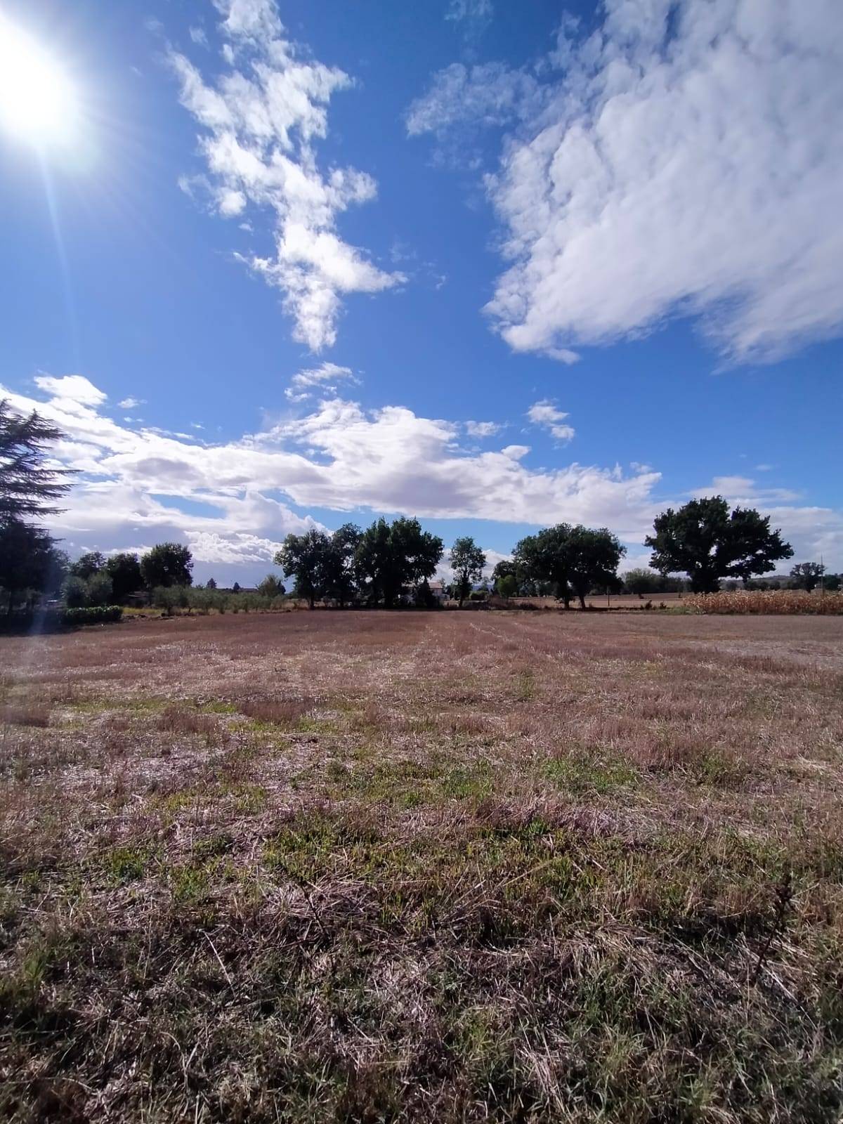Terreno edificabile in vendita a Marsciano