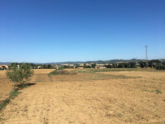 Land for sale in Marsciano