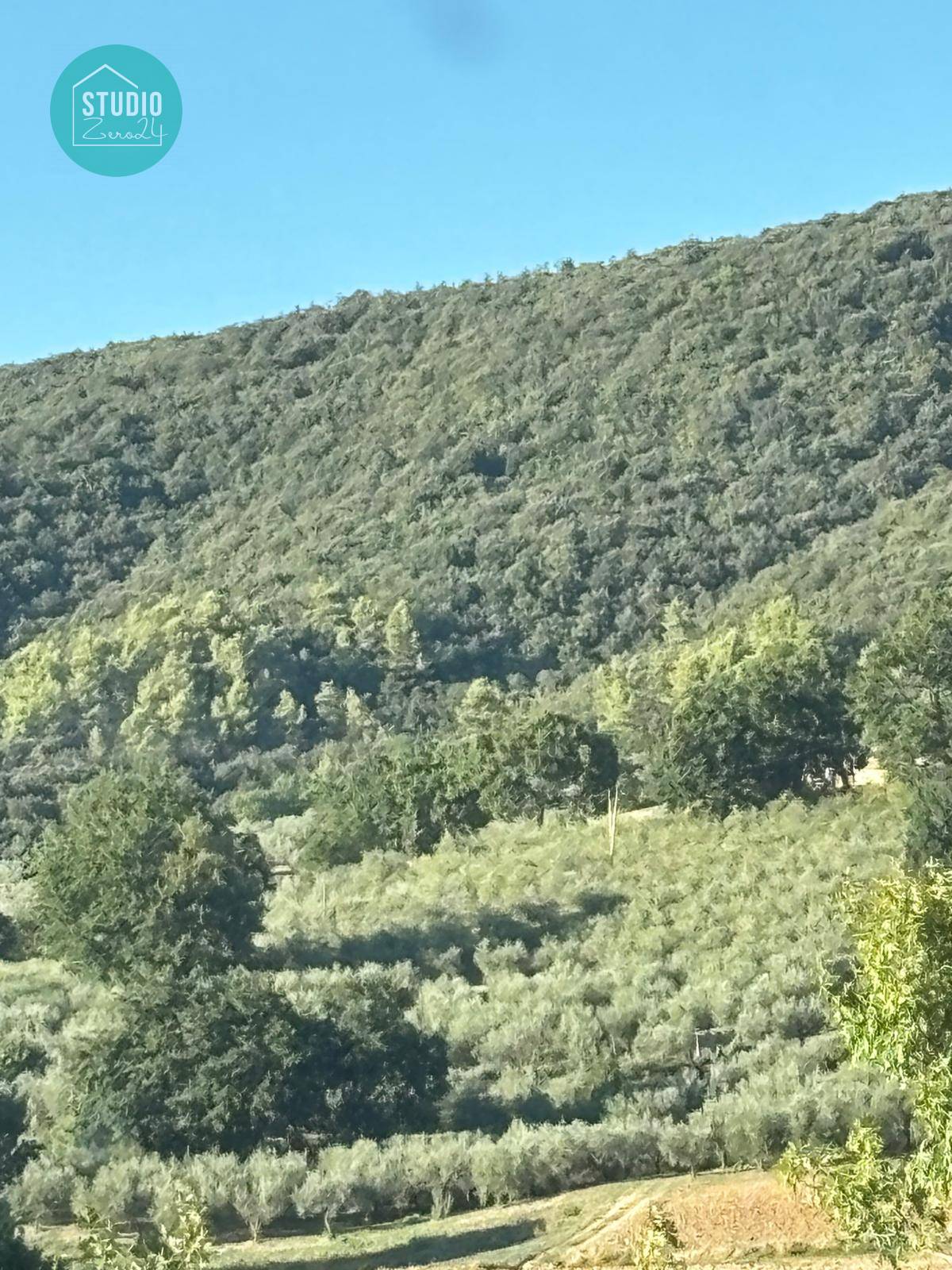 Terreno Agricolo in vendita a Gualdo Cattaneo