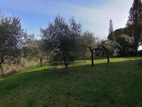 Villetta Bifamiliare in vendita a Marsciano