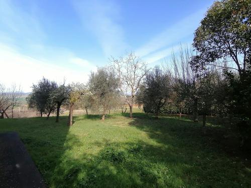 Villetta Bifamiliare in vendita a Marsciano