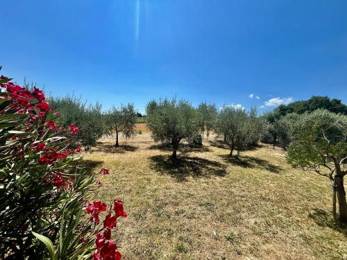 Villa in vendita a Marsciano