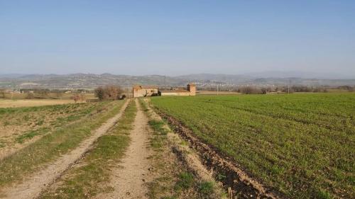 Rustico in vendita a Fratta Todina