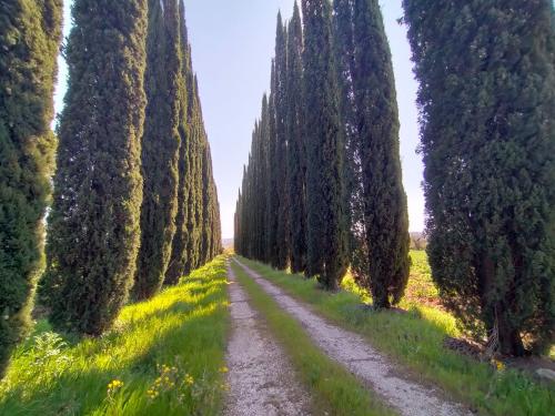 Casa singola in vendita a Marsciano