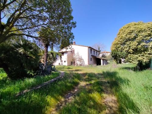 Casa singola in vendita a Marsciano