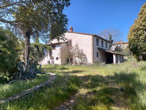 Casa singola in vendita a Marsciano