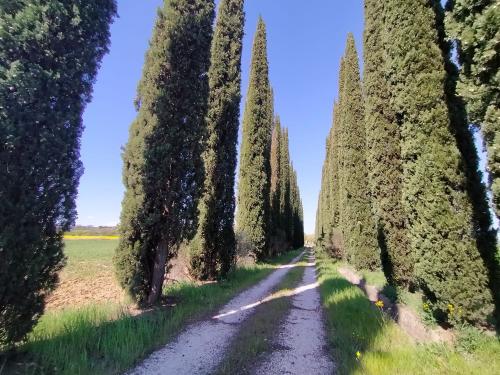 Casa singola in vendita a Marsciano