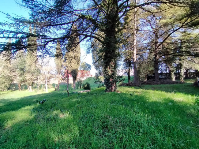 Casa singola in vendita a Marsciano