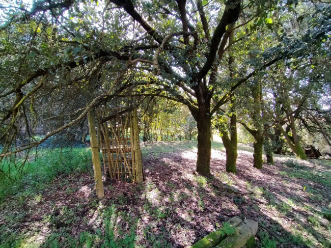Casa singola in vendita a Marsciano