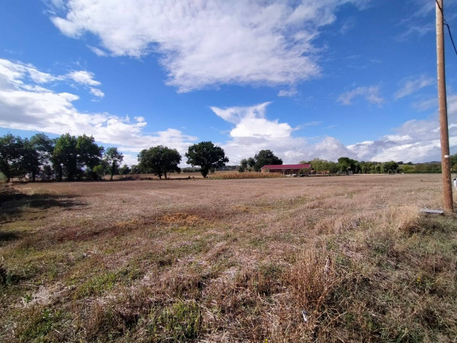 Terreno edificabile in vendita a Marsciano