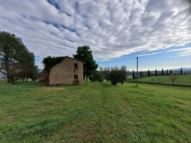 Casale in vendita a Marsciano